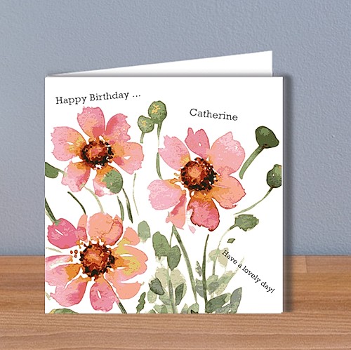 Pink Daisies